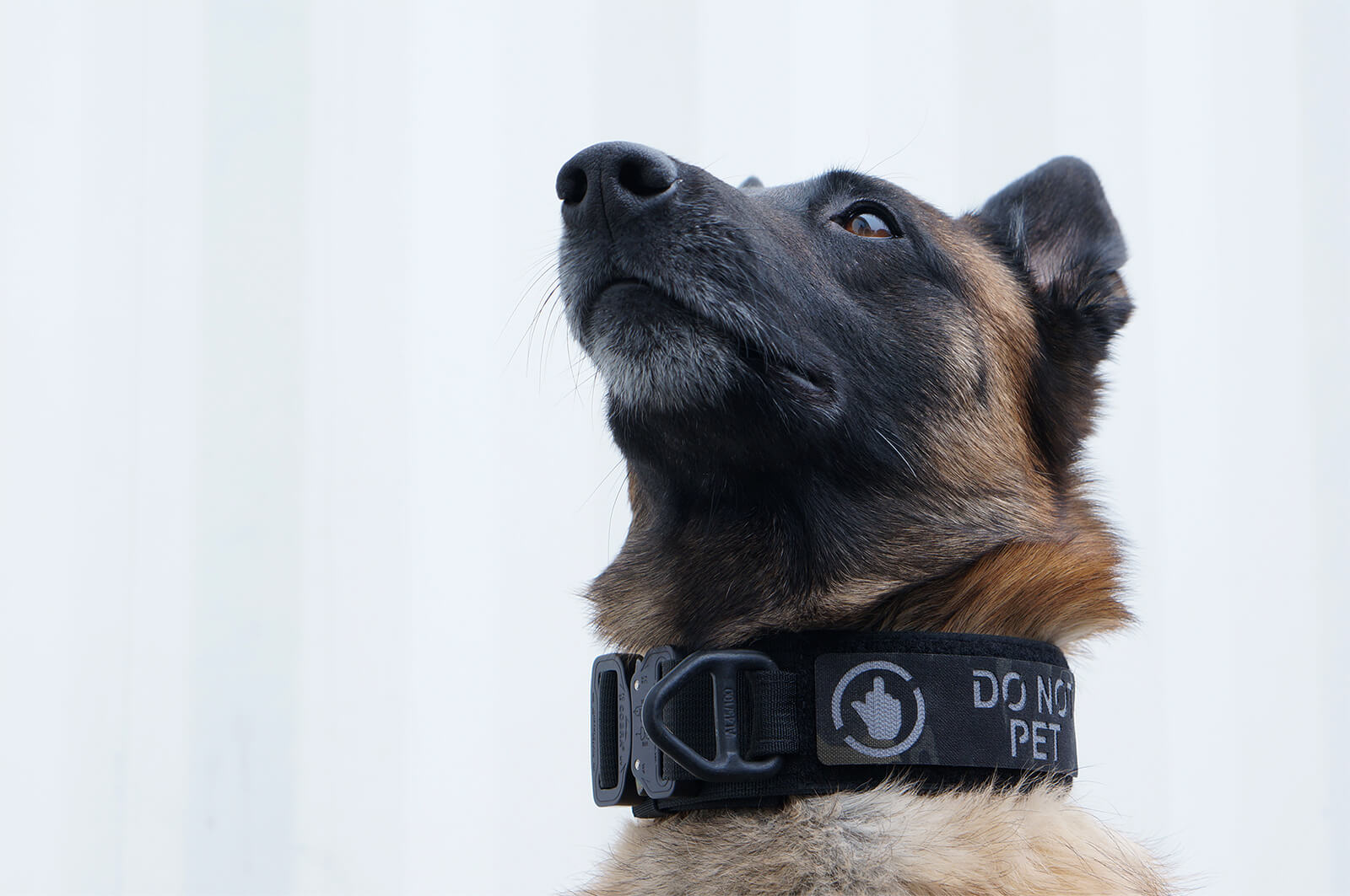 DO NOT PET Velcro K9 Patches Made In Canada